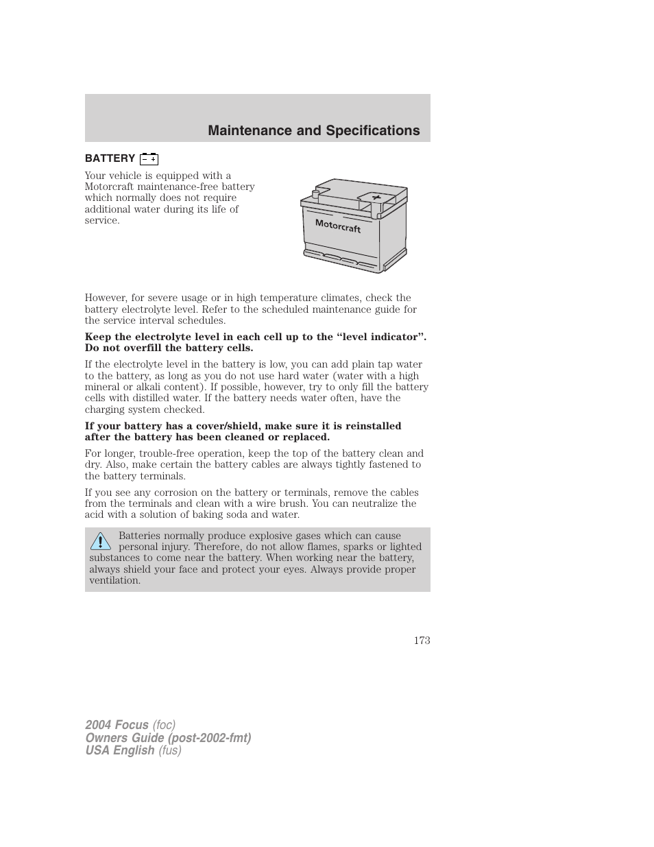 Maintenance and specifications | FORD 2004 Focus v.1 User Manual | Page 173 / 232