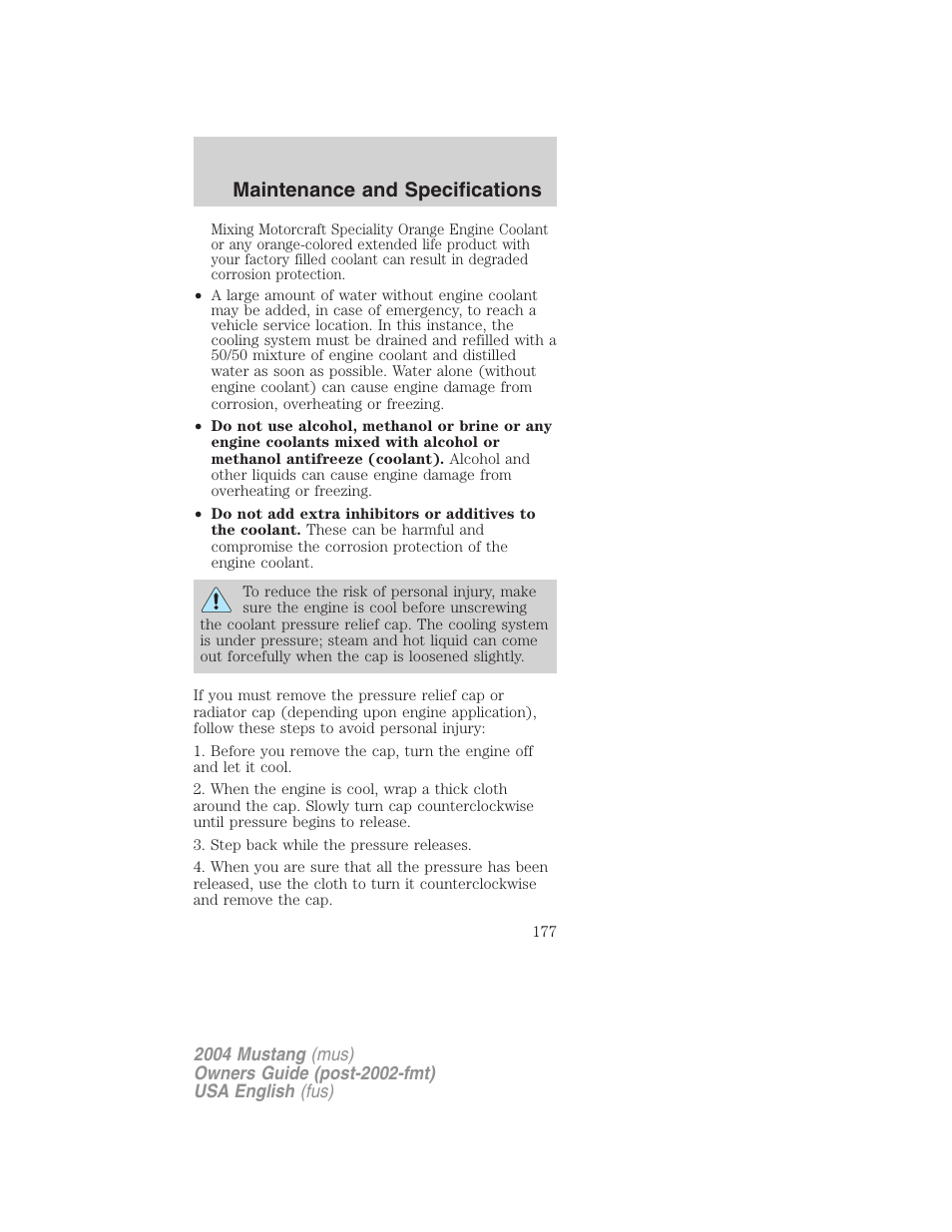 Maintenance and specifications | FORD 2004 Mustang v.1 User Manual | Page 177 / 240