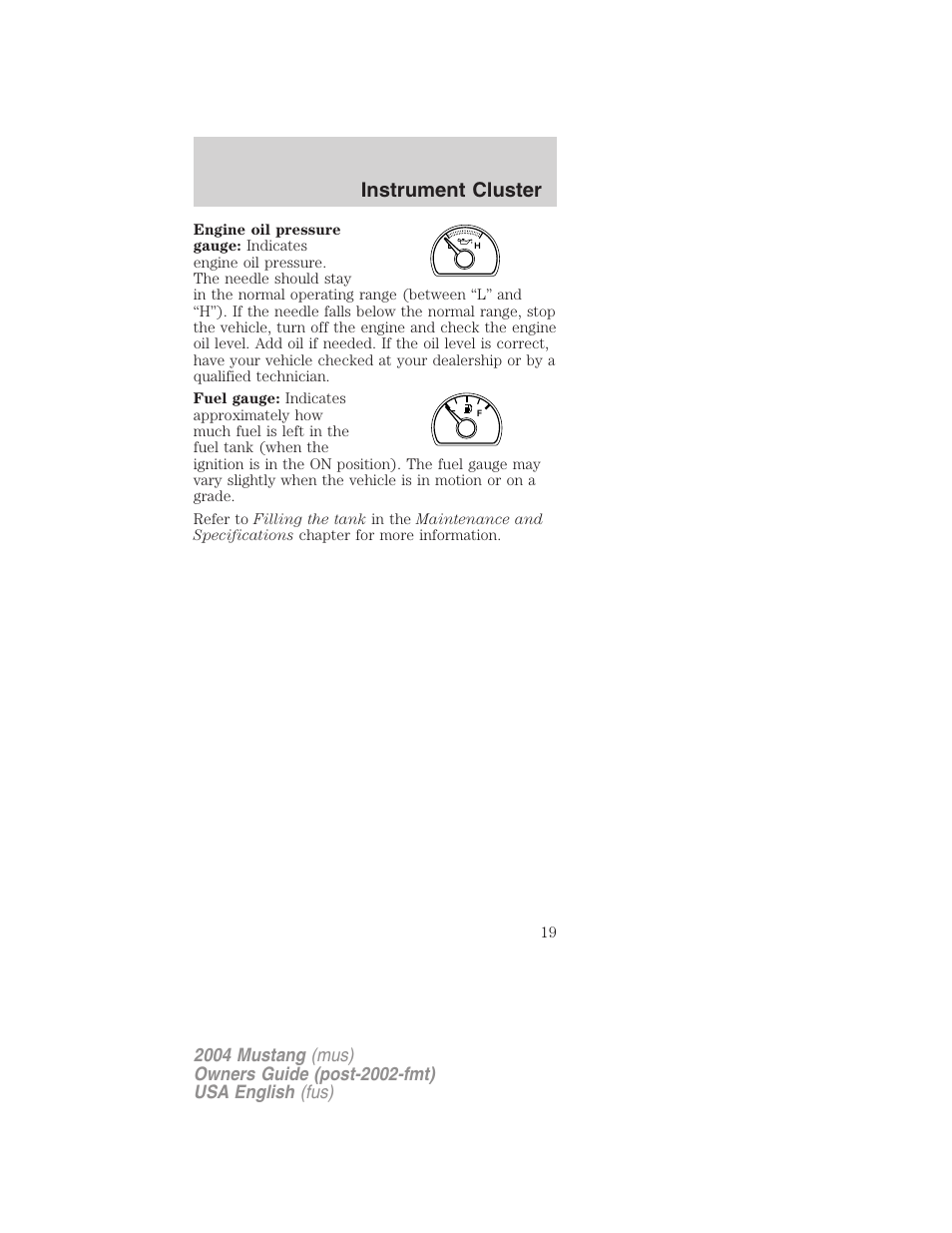 Instrument cluster | FORD 2004 Mustang v.2 User Manual | Page 19 / 240