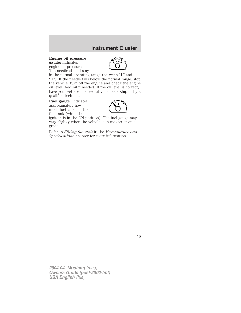 Instrument cluster | FORD 2004 Mustang v.3 User Manual | Page 19 / 240