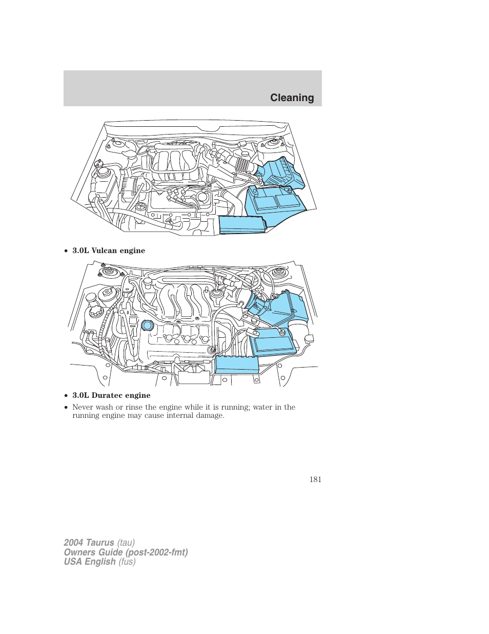 Cleaning | FORD 2004 Taurus v.3 User Manual | Page 181 / 248