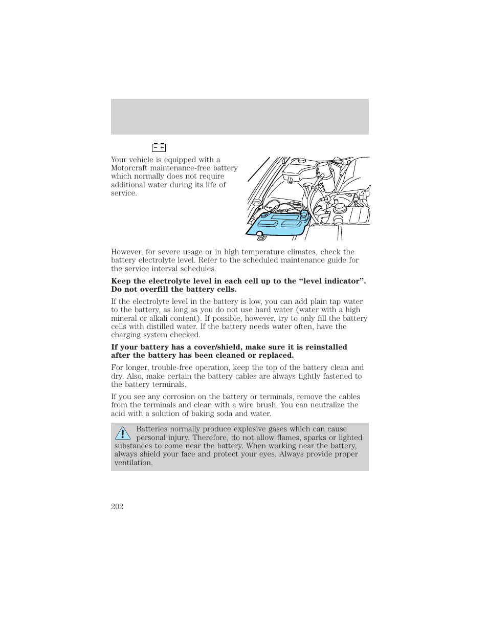 Maintenance and specifications | FORD 2003 Crown Victoria v.2 User Manual | Page 202 / 248