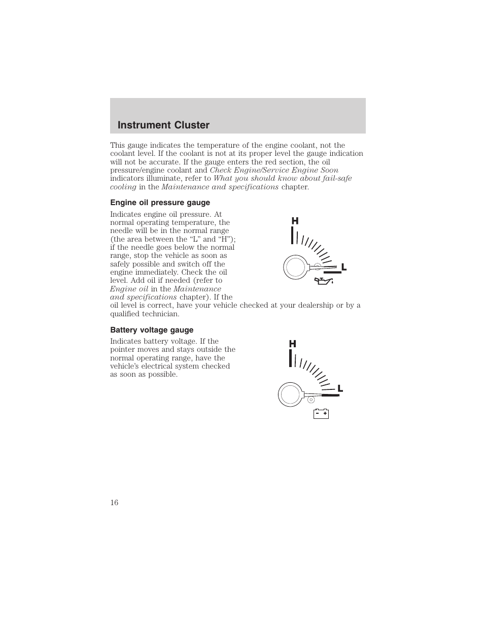 Instrument cluster | FORD 2003 Expedition v.1 User Manual | Page 16 / 320