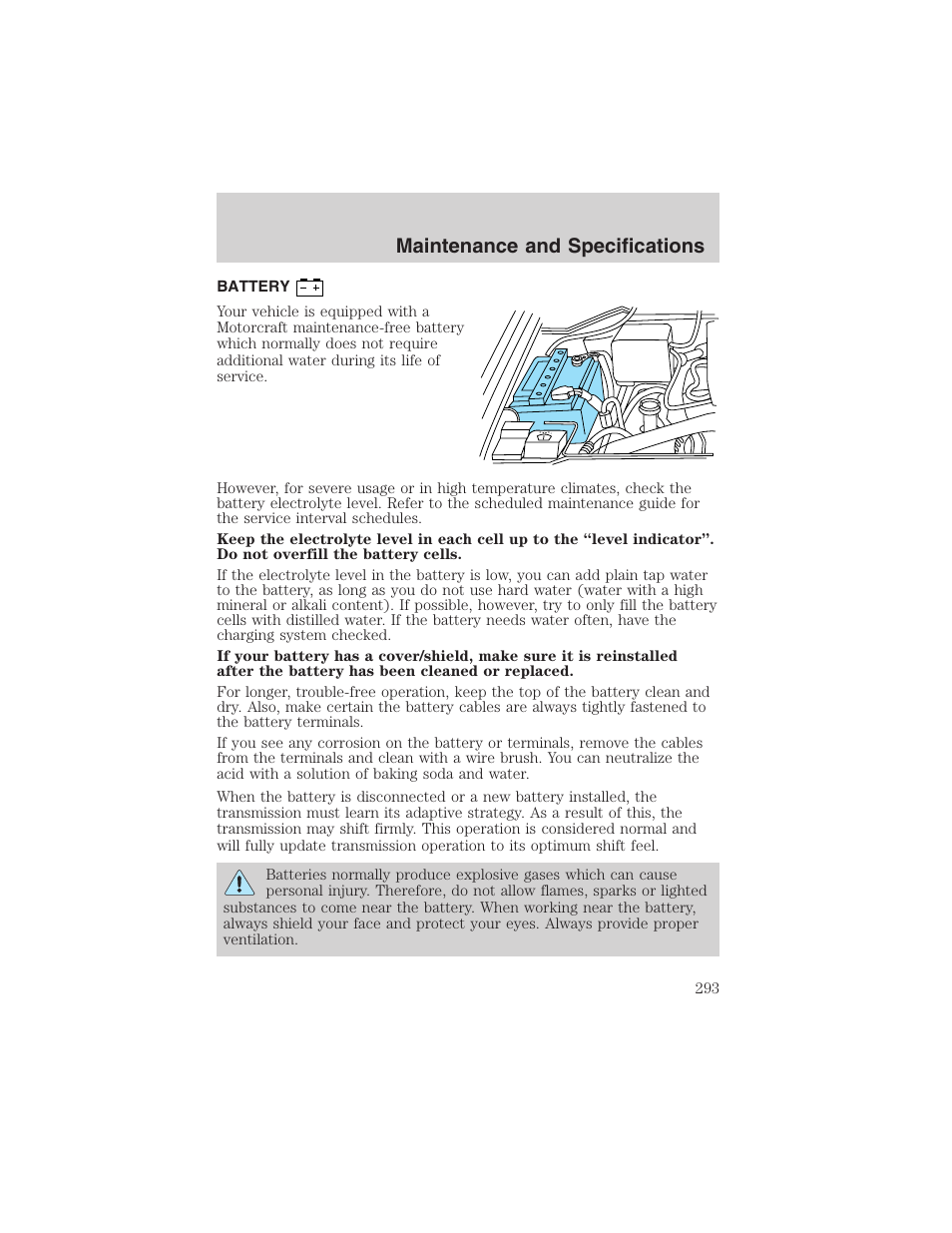 Maintenance and specifications | FORD 2003 Expedition v.2 User Manual | Page 293 / 344