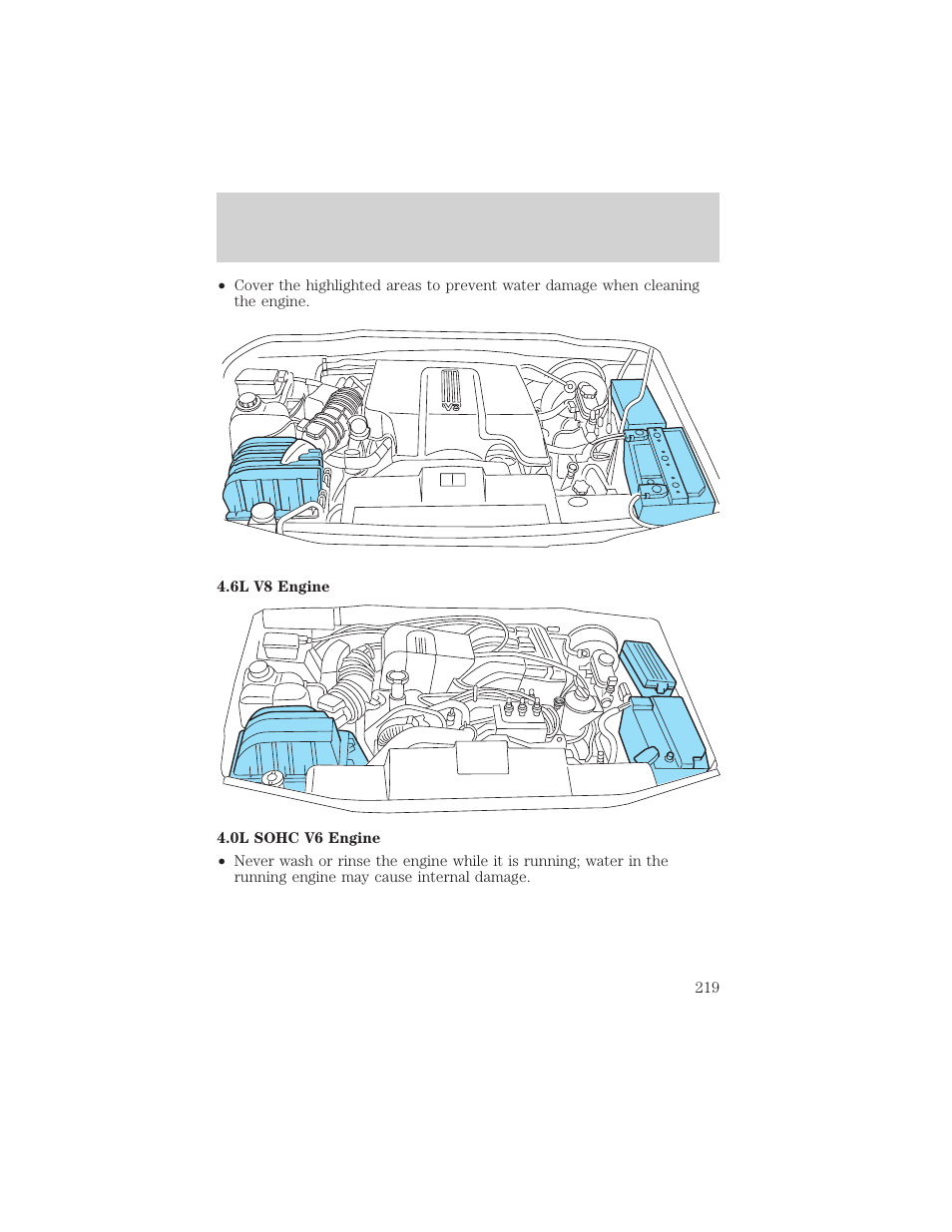 Cleaning | FORD 2003 Explorer v.3 User Manual | Page 219 / 280