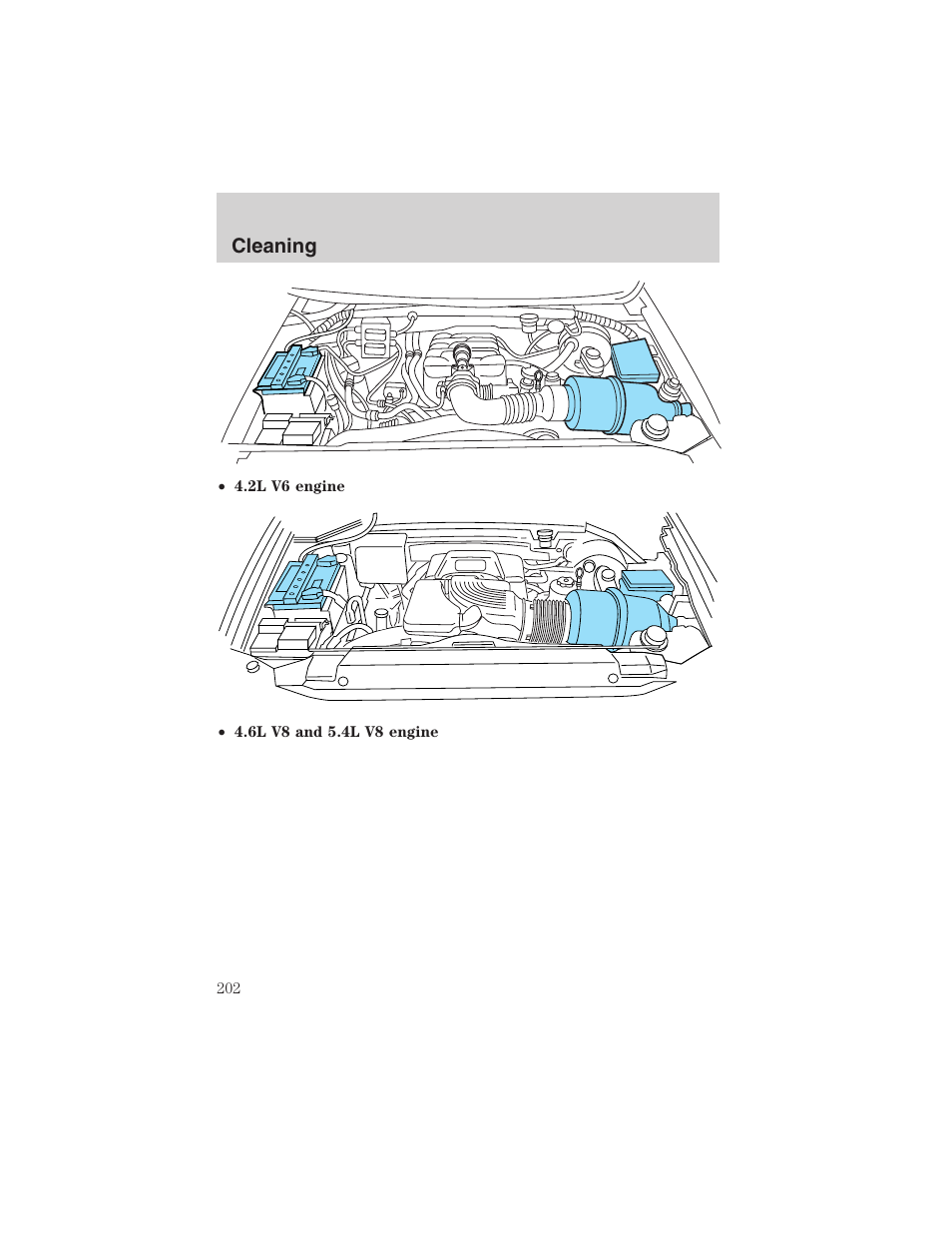 Cleaning | FORD 2003 F-150 v.2 User Manual | Page 202 / 272