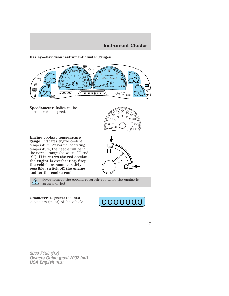 Instrument cluster | FORD 2003 F-150 v.5 User Manual | Page 17 / 280