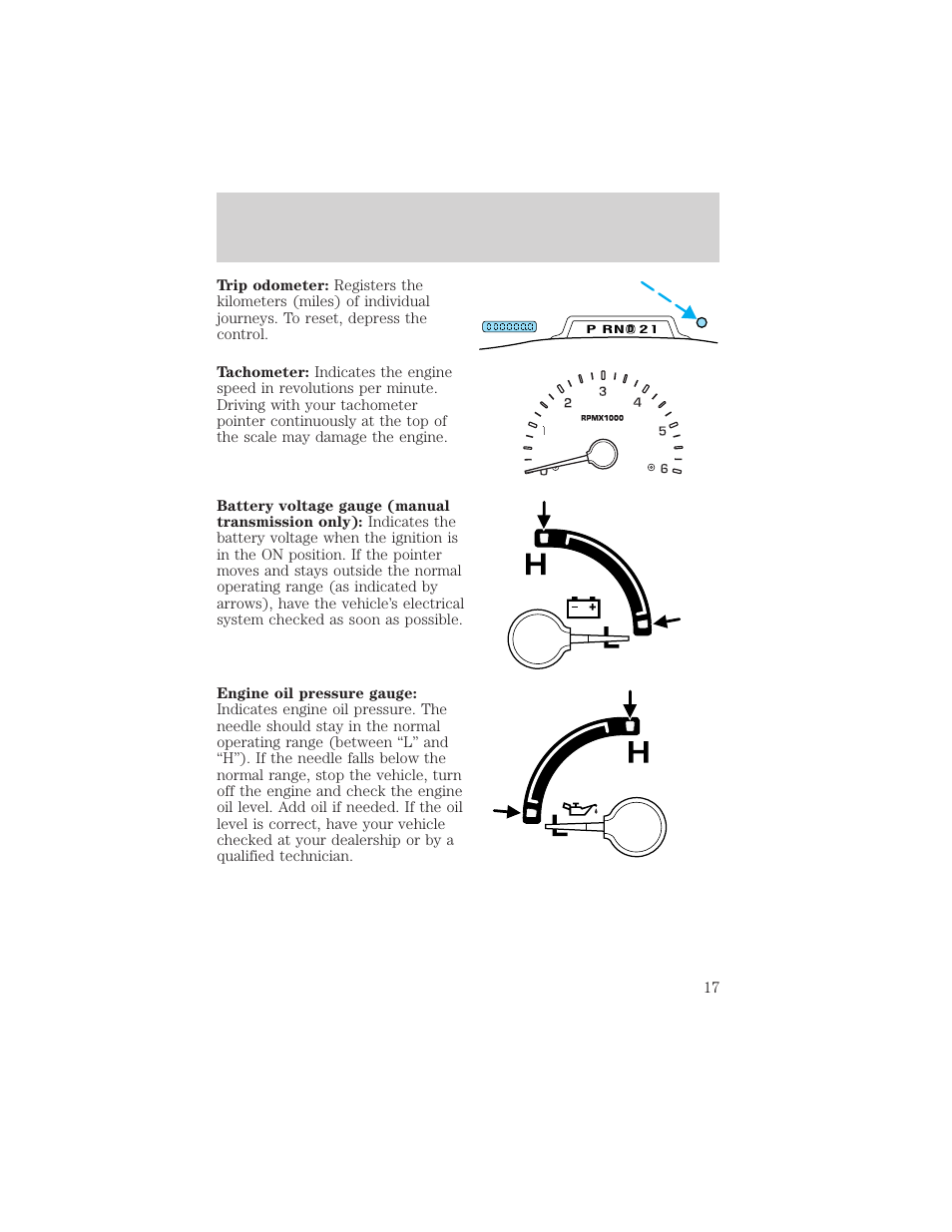 Instrument cluster | FORD 2003 F-550 v.3 User Manual | Page 17 / 280