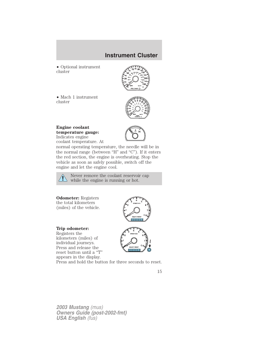 Instrument cluster | FORD 2003 Mustang v.5 User Manual | Page 15 / 216