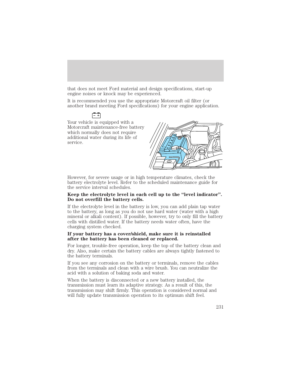 Maintenance and specifications | FORD 2002 Expedition User Manual | Page 231 / 280