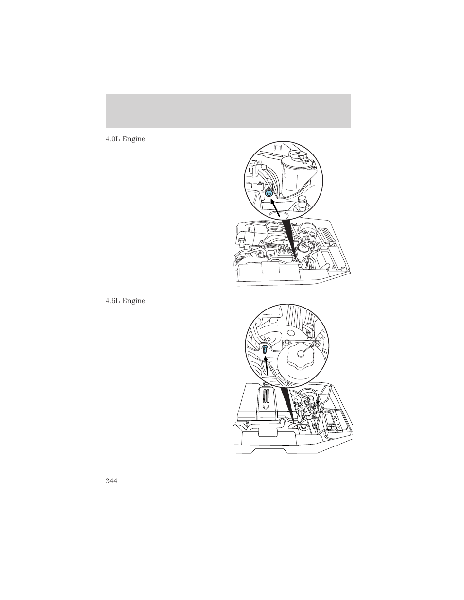Roadside emergencies | FORD 2002 Explorer v.3 User Manual | Page 244 / 336
