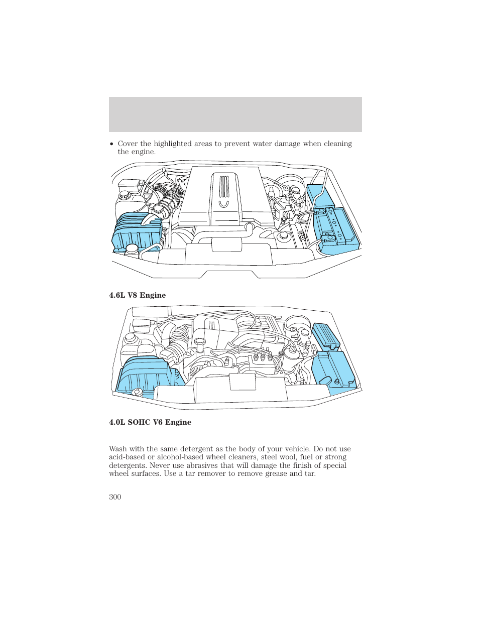 Maintenance and care | FORD 2002 Explorer v.3 User Manual | Page 300 / 336