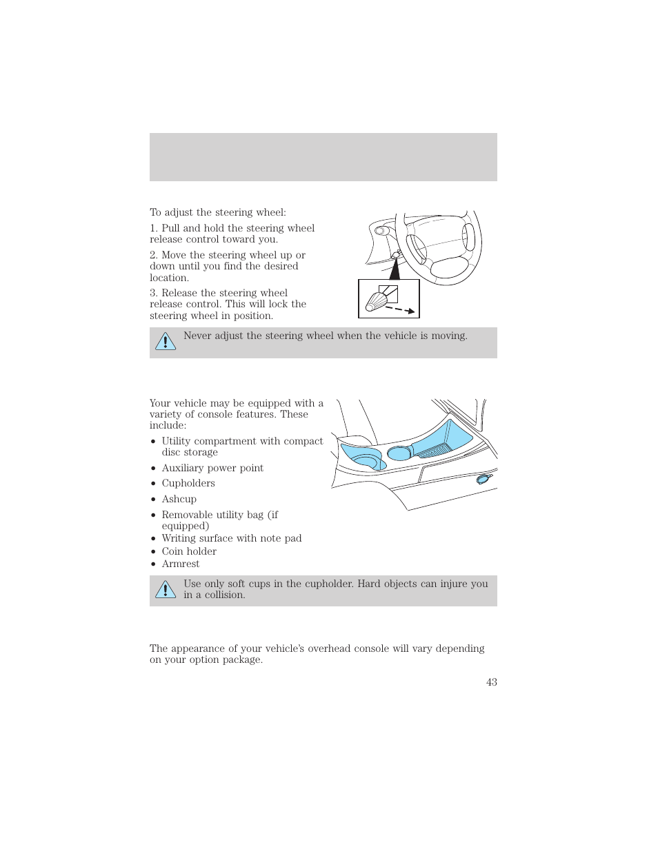 Driver controls | FORD 2002 Explorer Sport Trac v.2 User Manual | Page 43 / 200