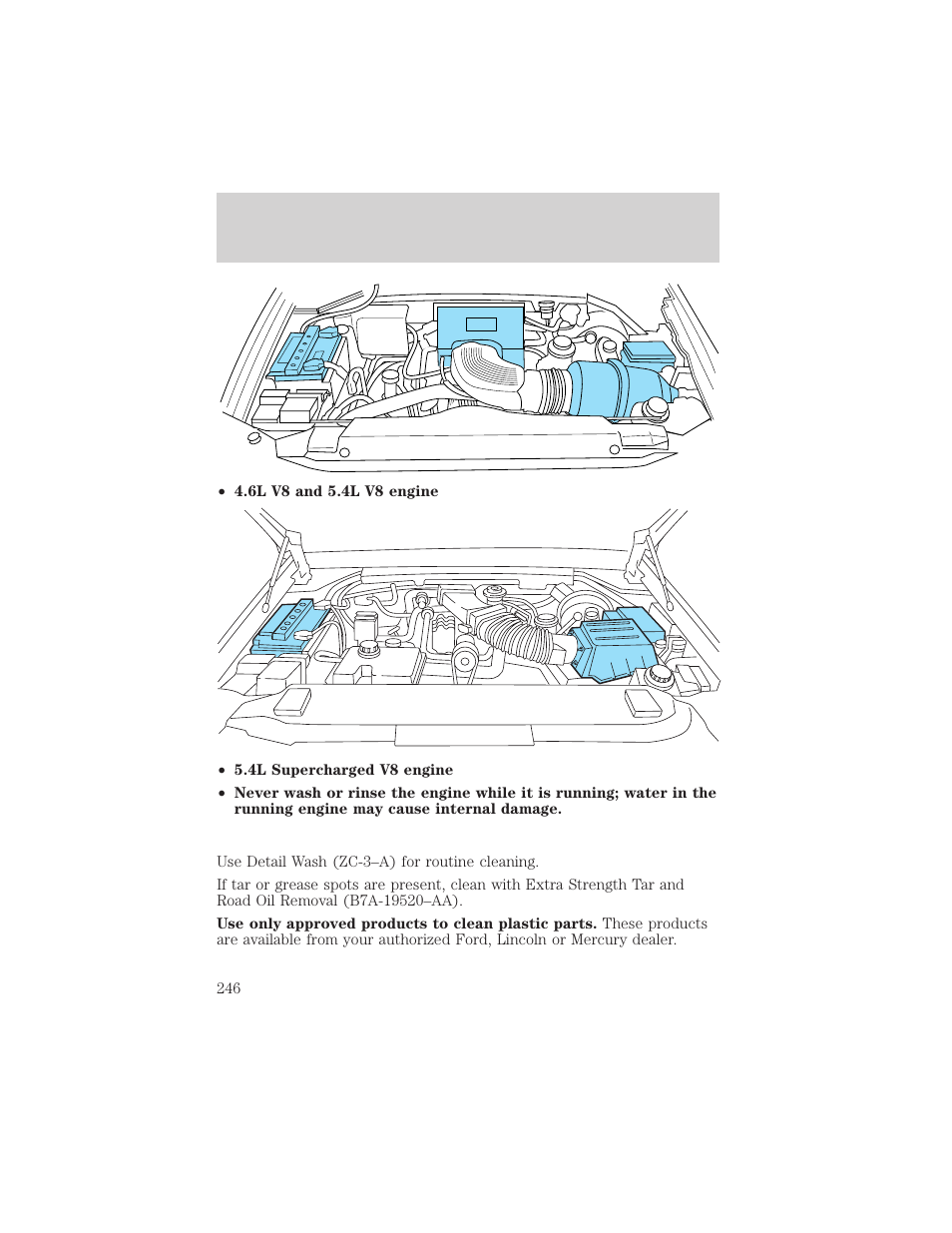Cleaning | FORD 2002 F-150 v.1 User Manual | Page 246 / 320