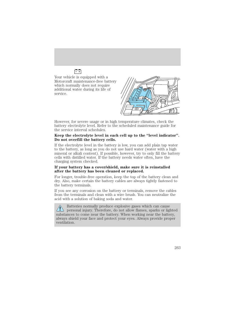 Maintenance and specifications | FORD 2002 F-150 v.1 User Manual | Page 263 / 320