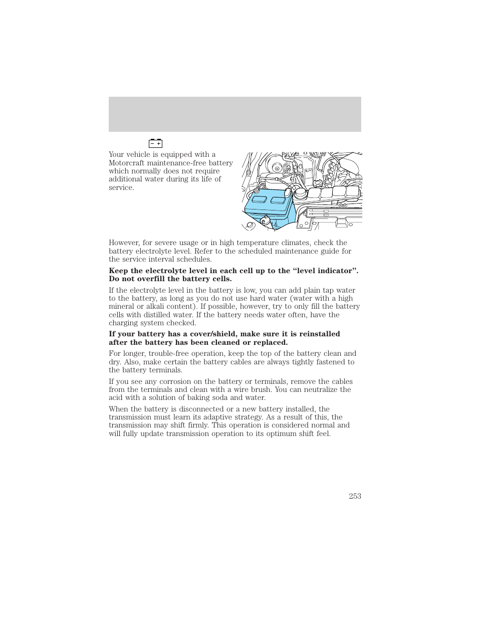 Maintenance and specifications | FORD 2002 F-550 v.1 User Manual | Page 253 / 320