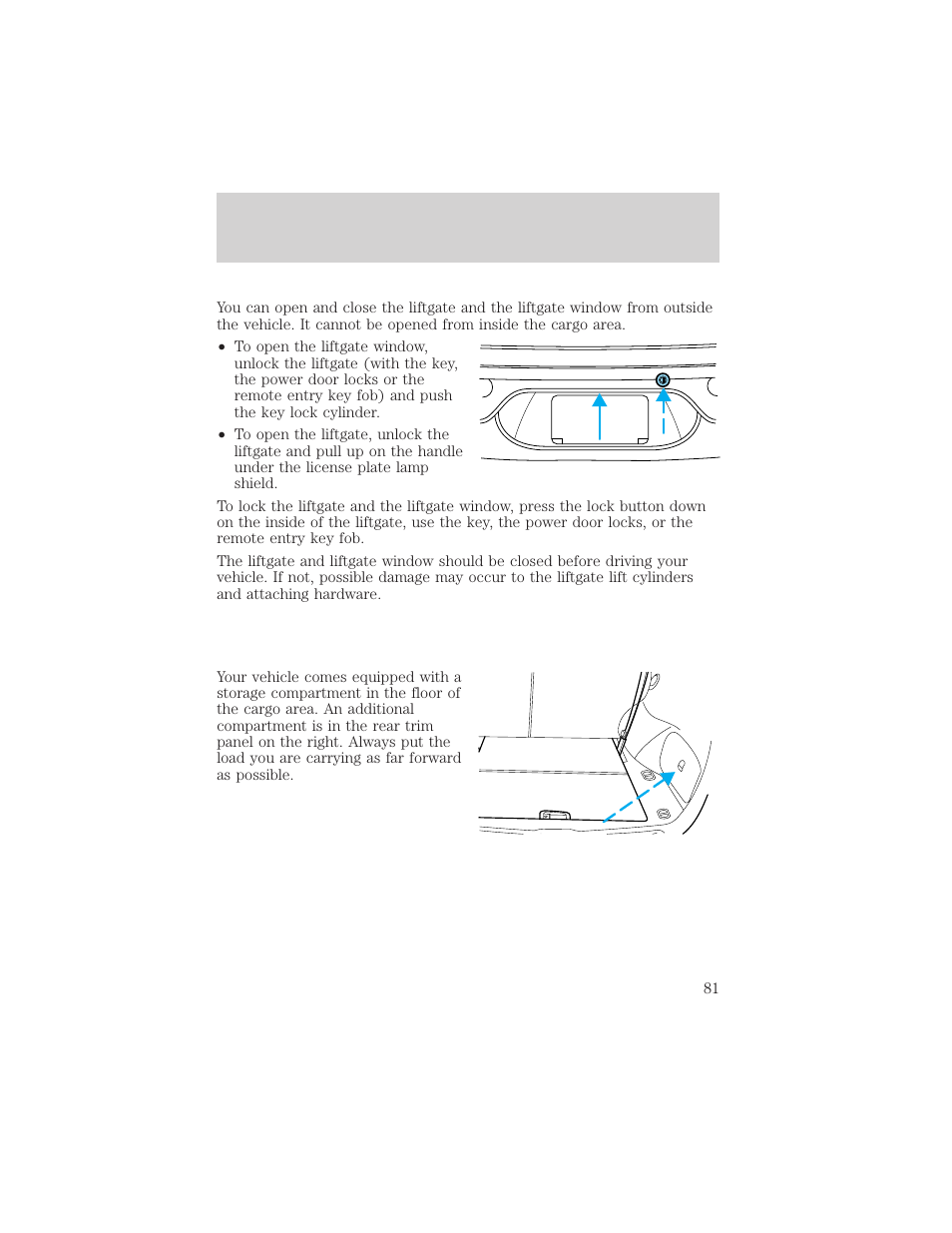 Driver controls | FORD 2002 Taurus v.1 User Manual | Page 81 / 248
