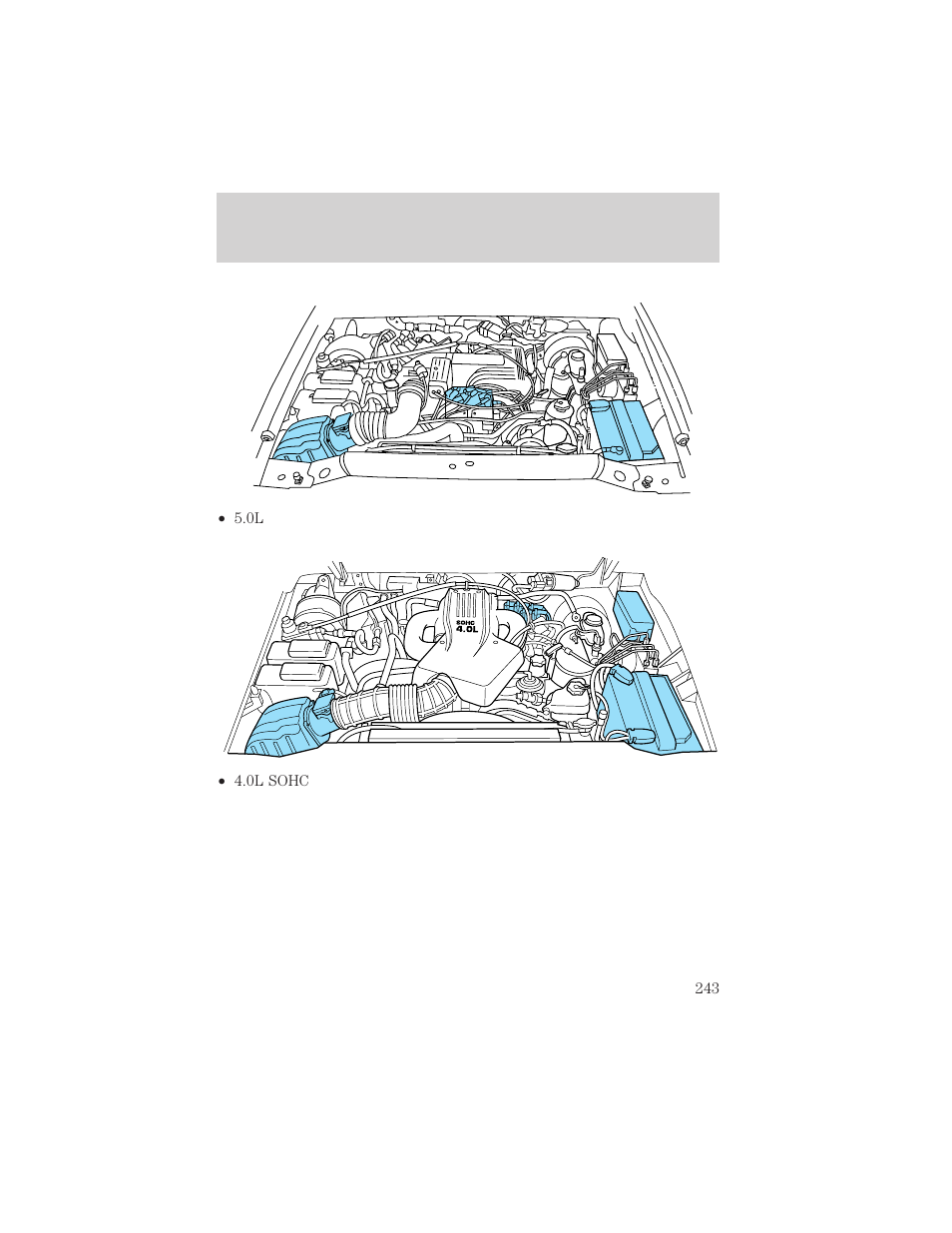 Maintenance and care | FORD 1999 Explorer User Manual | Page 243 / 264