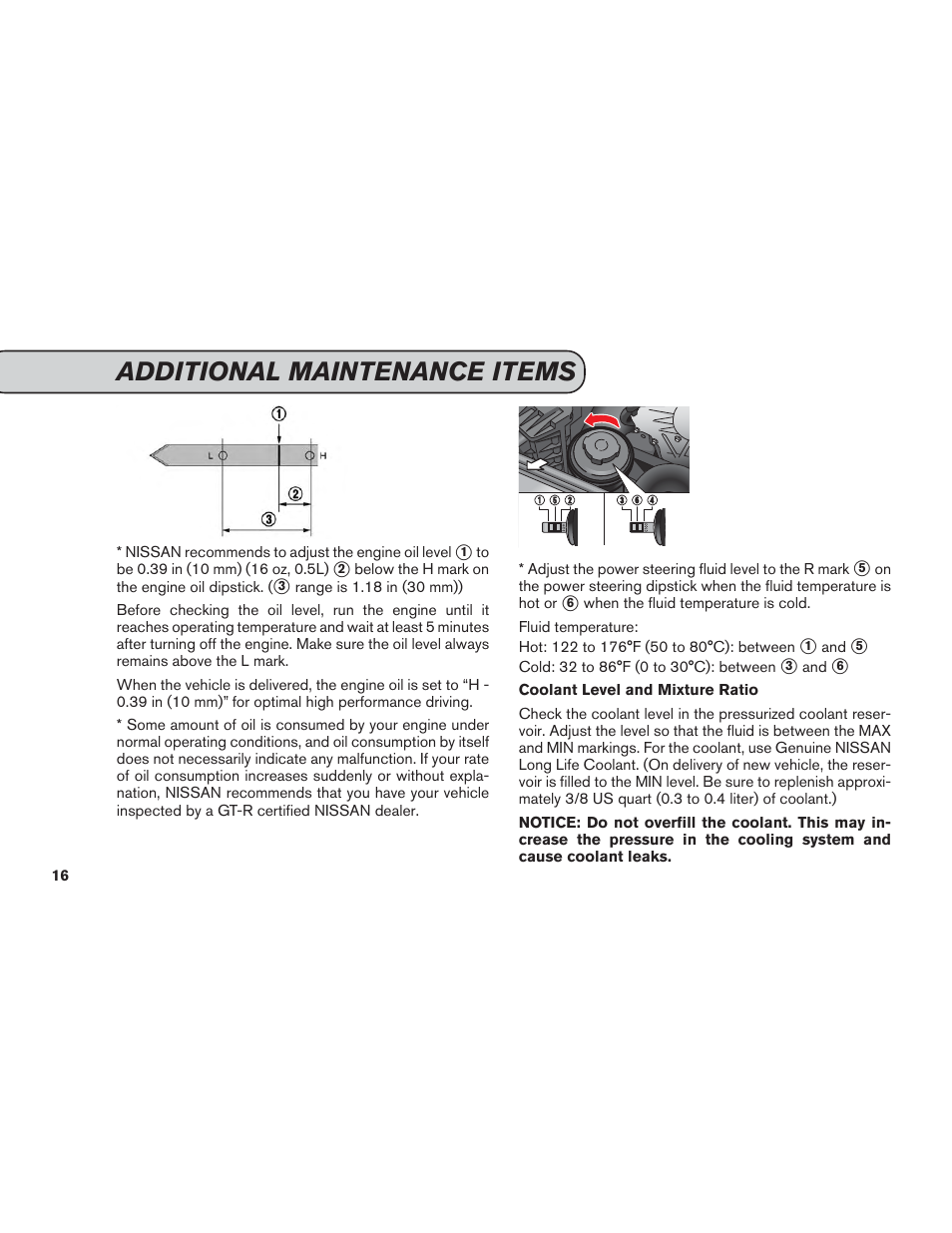 Additional maintenance items | NISSAN 2014 GT R - Service & Maintenance Guide User Manual | Page 17 / 82