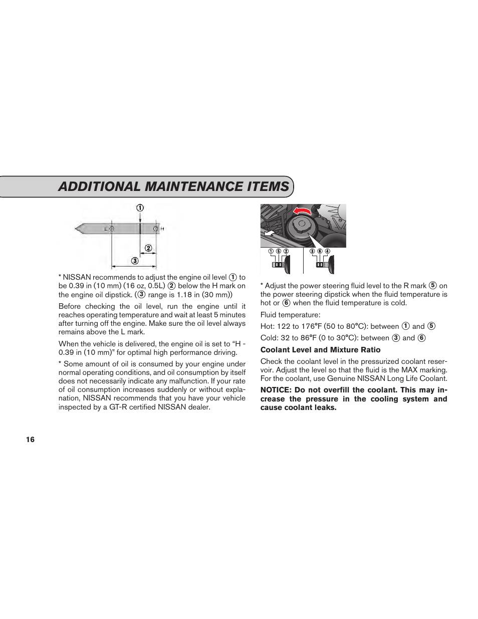 Additional maintenance items | NISSAN 2015 GT R - Service & Maintenance Guide User Manual | Page 18 / 83