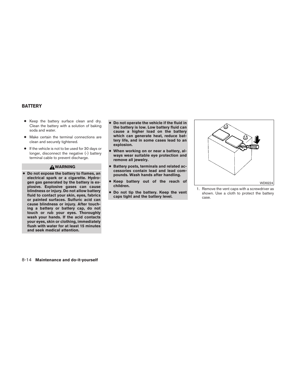 Battery -14 | NISSAN 2010 Maxima - Owner's Manual User Manual | Page 393 / 458