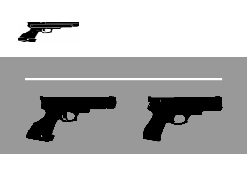 Gamo Compact Target Pistol User Manual | 14 pages