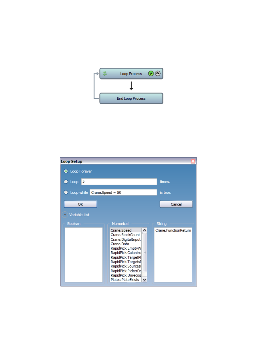 Loop process | Hudson Robotics SoftLinx 5.0 User Manual | Page 30 / 50