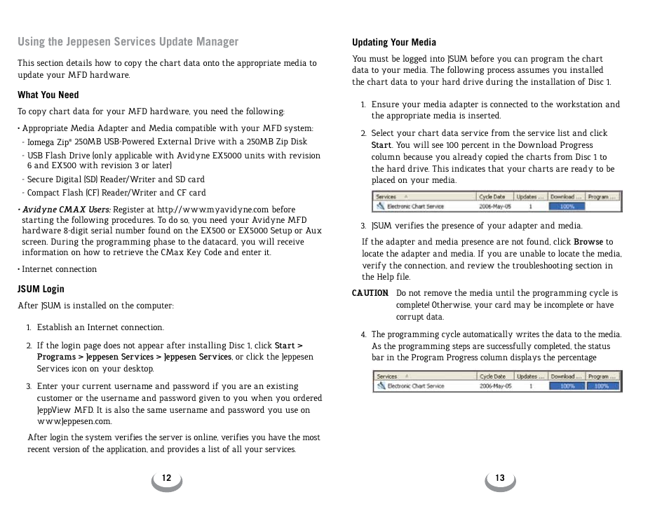 Using the jeppesen services update manager | Jeppesen JeppView 3 User Manual | Page 8 / 10