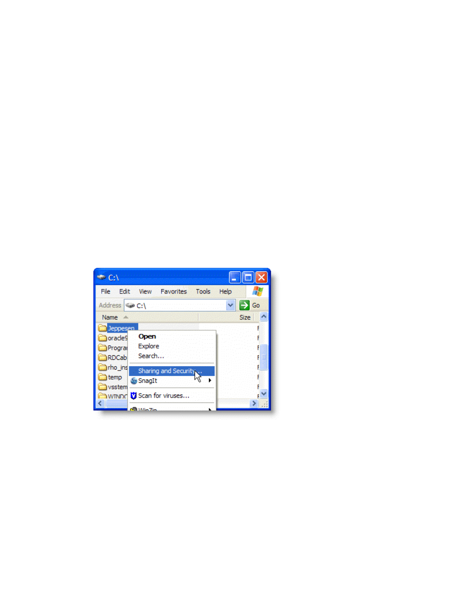 Sharing the server | Jeppesen JeppView 3 User Manual | Page 39 / 273