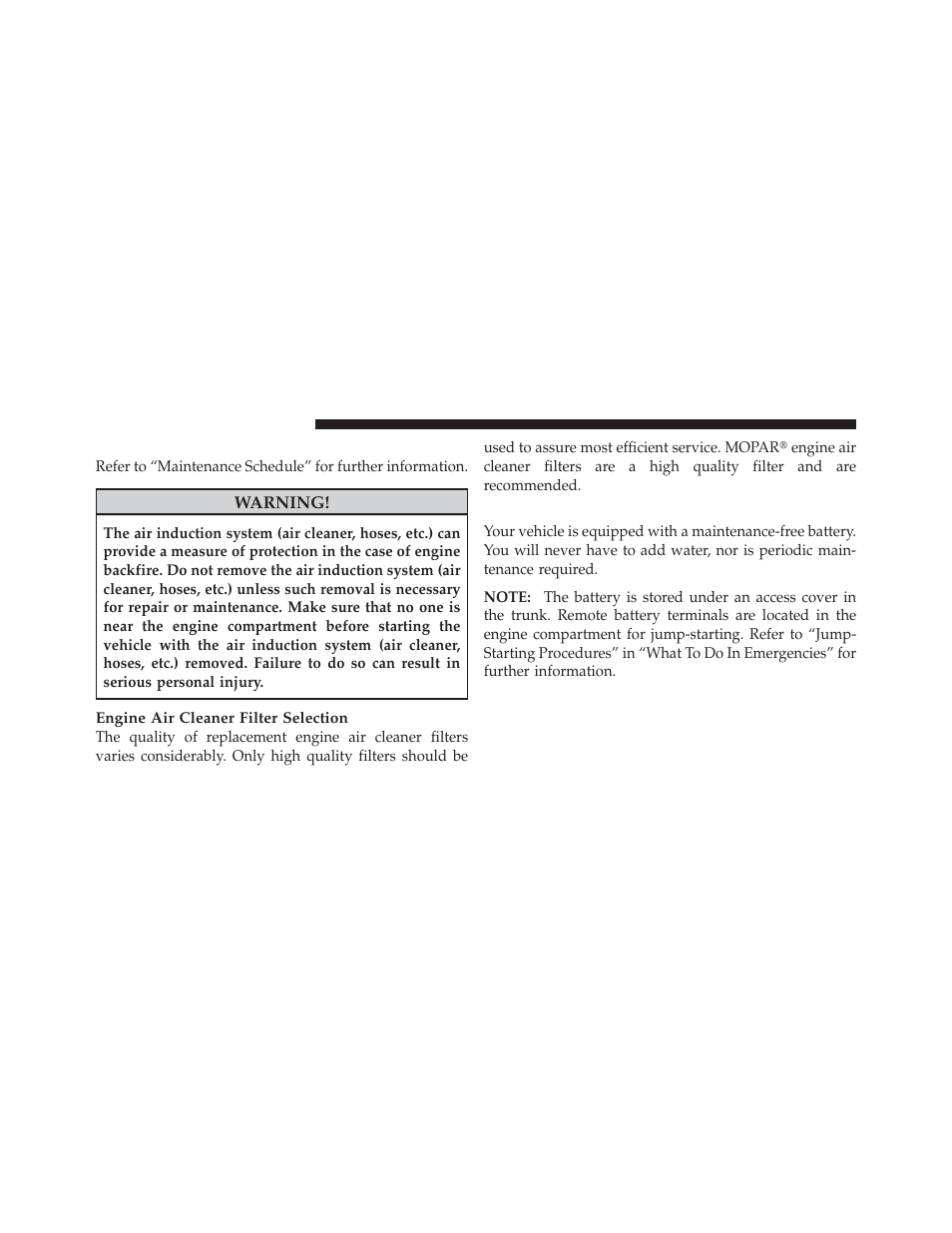 Engine air cleaner filter, Maintenance-free battery | Dodge 2010 Challenger - Owner Manual User Manual | Page 384 / 477