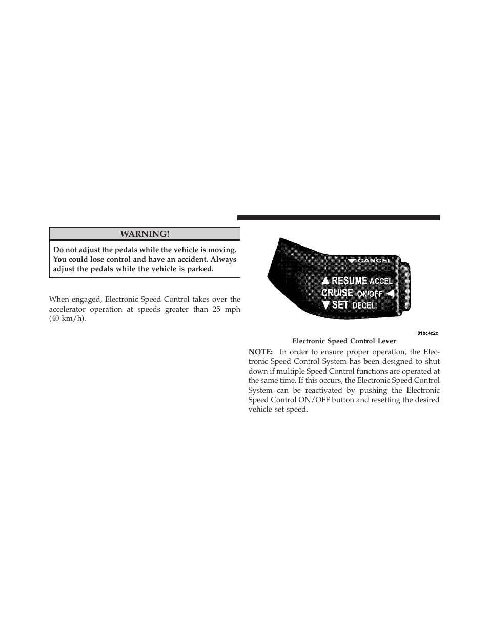 Electronic speed control — if equipped | Dodge 2010 Grand Caravan - Owner Manual User Manual | Page 169 / 530