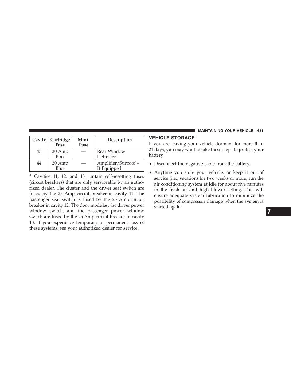 Vehicle storage | Dodge 2012 Challenger - Owner Manual User Manual | Page 433 / 494