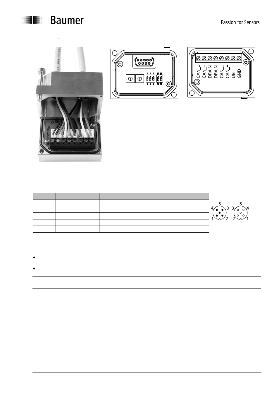 Terminal assignment | Baumer G1-G2-G0-GE-GB-GXxxx User Manual | Page 17 / 18