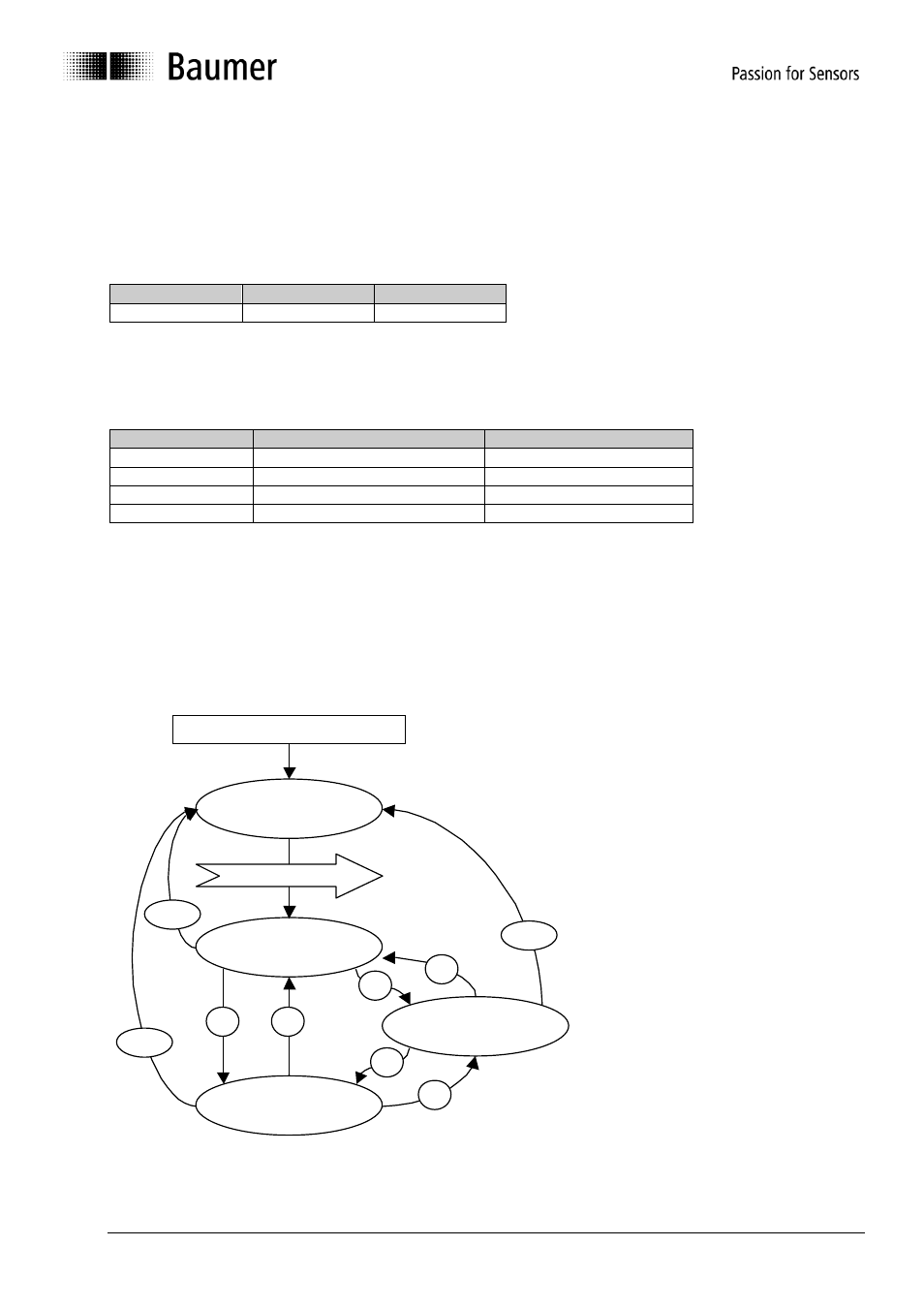 Network management services | Baumer G1-G2-G0-GE-GB-GXxxx User Manual | Page 14 / 52