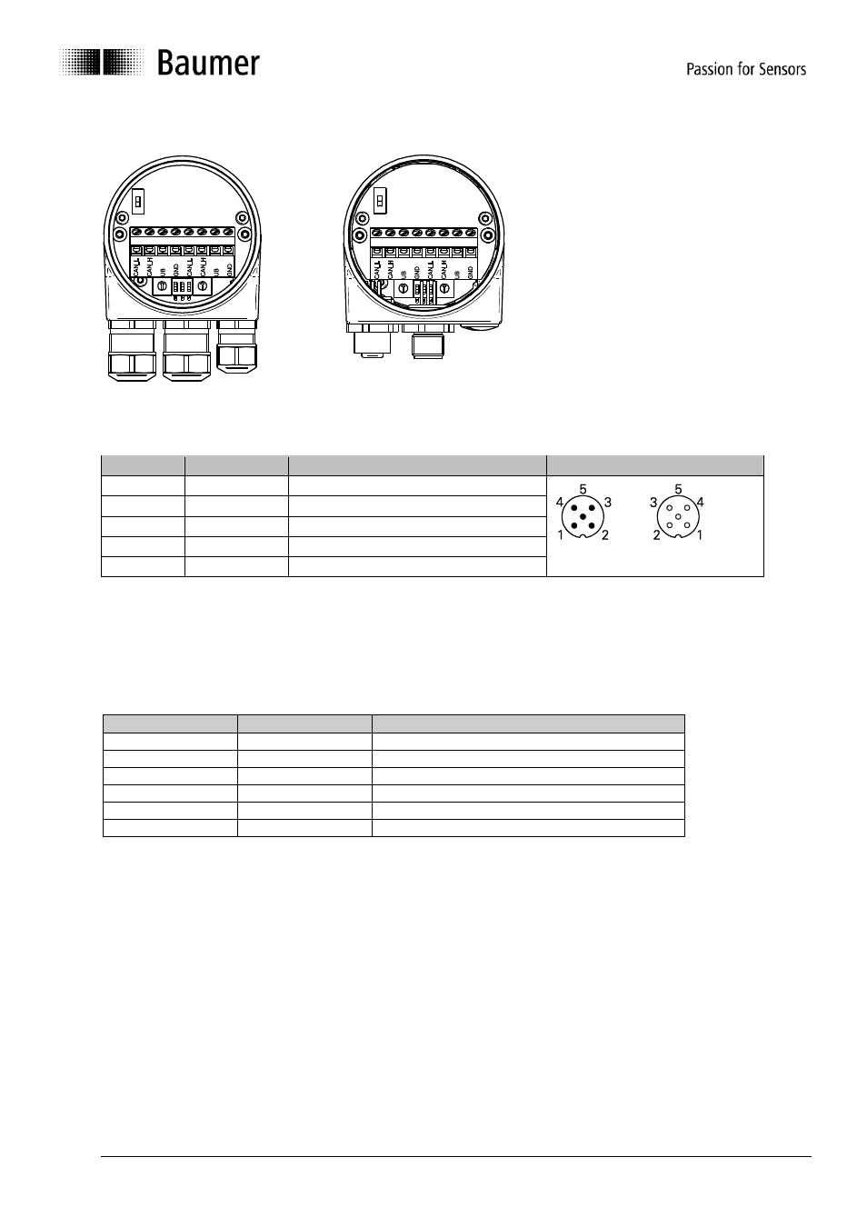 Terminal assignment, Status leds (status indicators) | Baumer GNAMG User Manual | Page 41 / 41