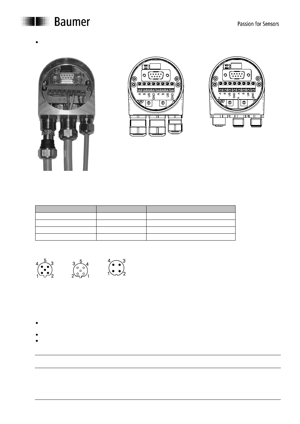 Baumer GE-GB-GXxxx User Manual | Page 10 / 41