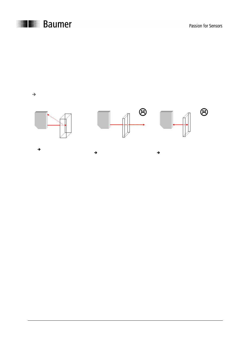 Baumer BA OADM20I6 OADM21I6 User Manual | Page 12 / 88