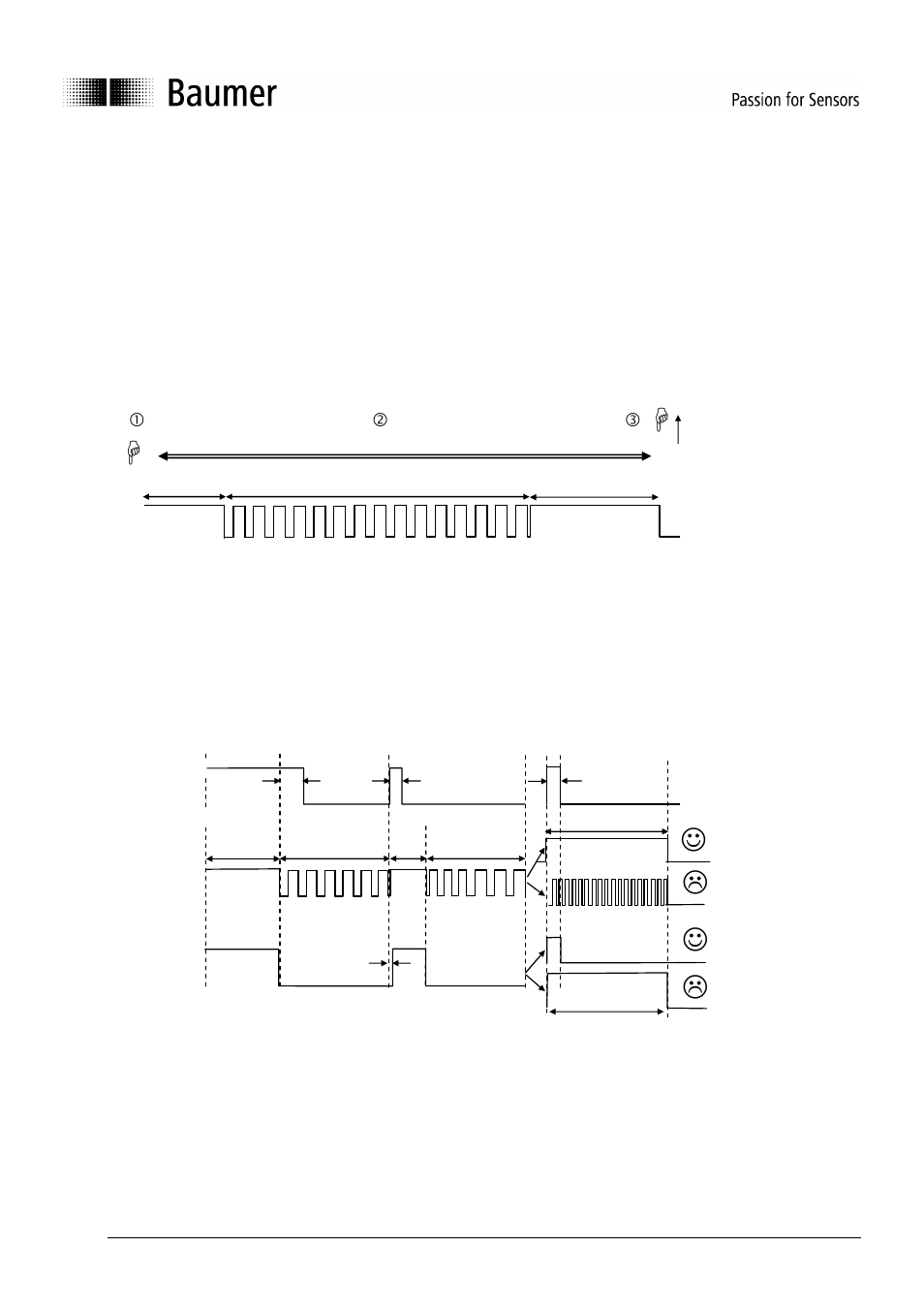 Baumer BA OADM20I6 OADM21I6 User Manual | Page 19 / 88