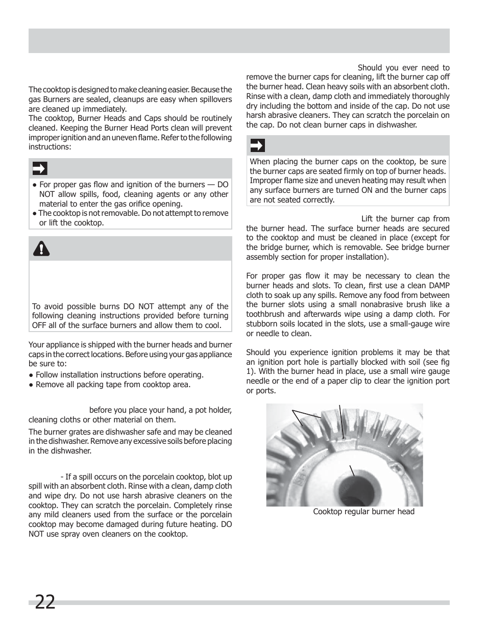 Care & cleaning, Caution, Important | FRIGIDAIRE FGGF301DNB User Manual | Page 22 / 28