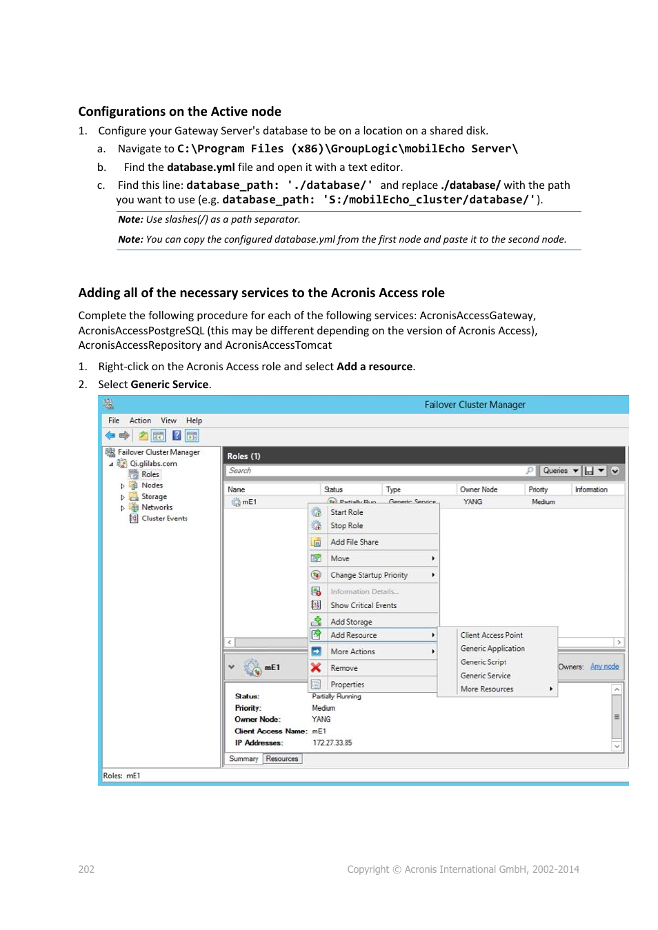 Acronis Access Advanced - Administrator's Guide User Manual | Page 202 / 259