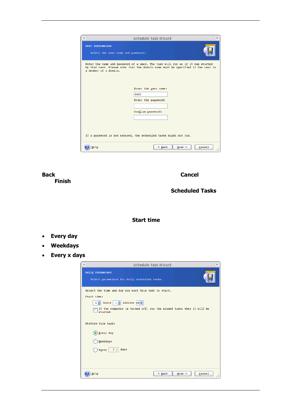 1 setting up daily execution | Acronis True Image Echo Server for Linux - User Guide User Manual | Page 49 / 87