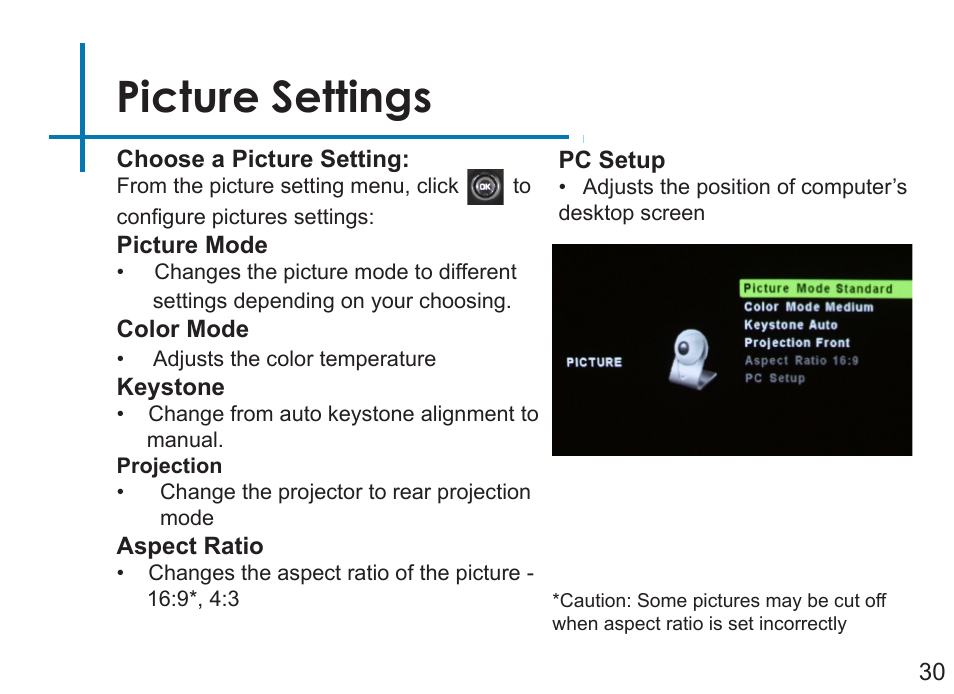 Picture settings | AAXA Technologies LED Showtime 3D User Manual | Page 32 / 45