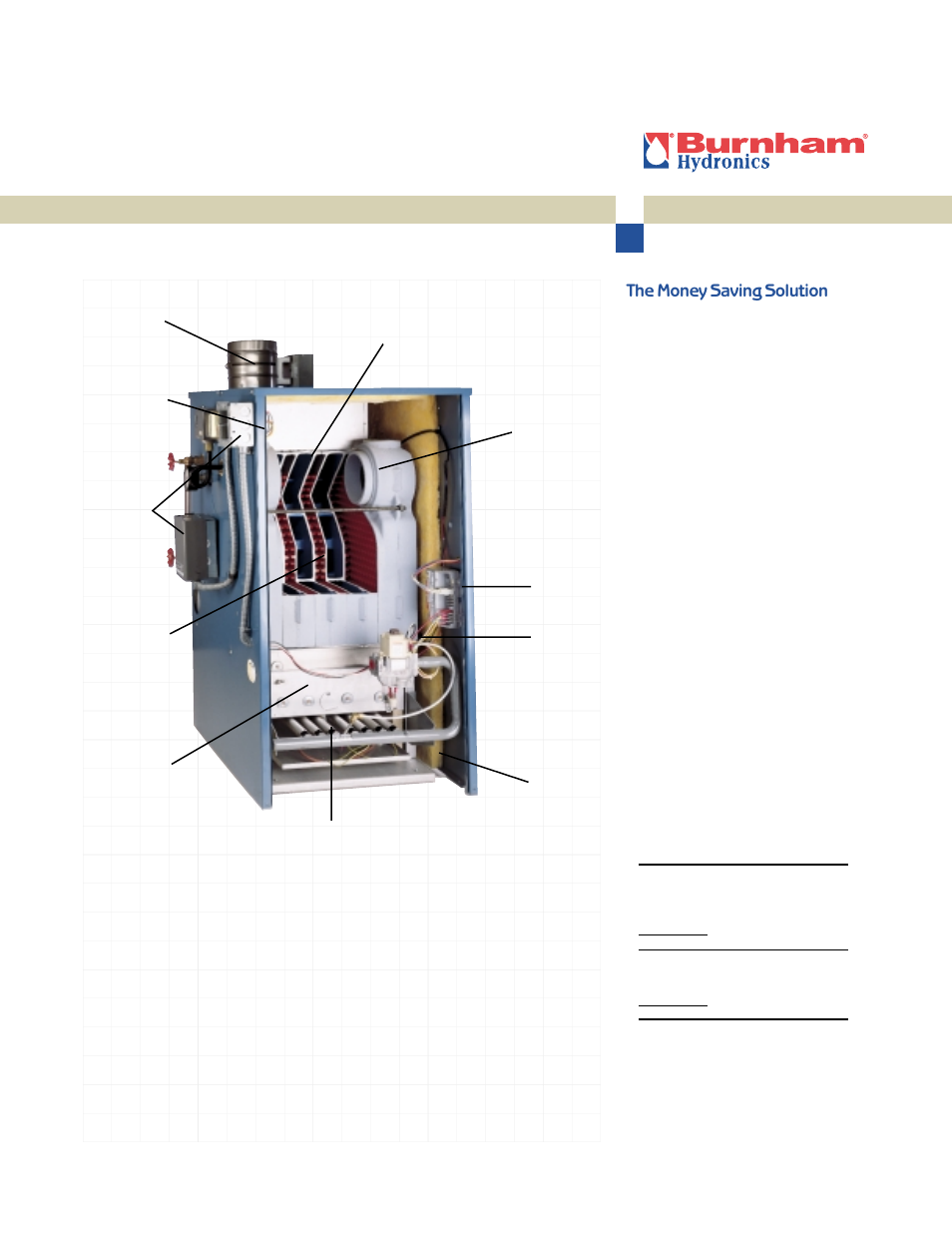 The money saving solution | Burnham Independence PV User Manual | Page 4 / 6