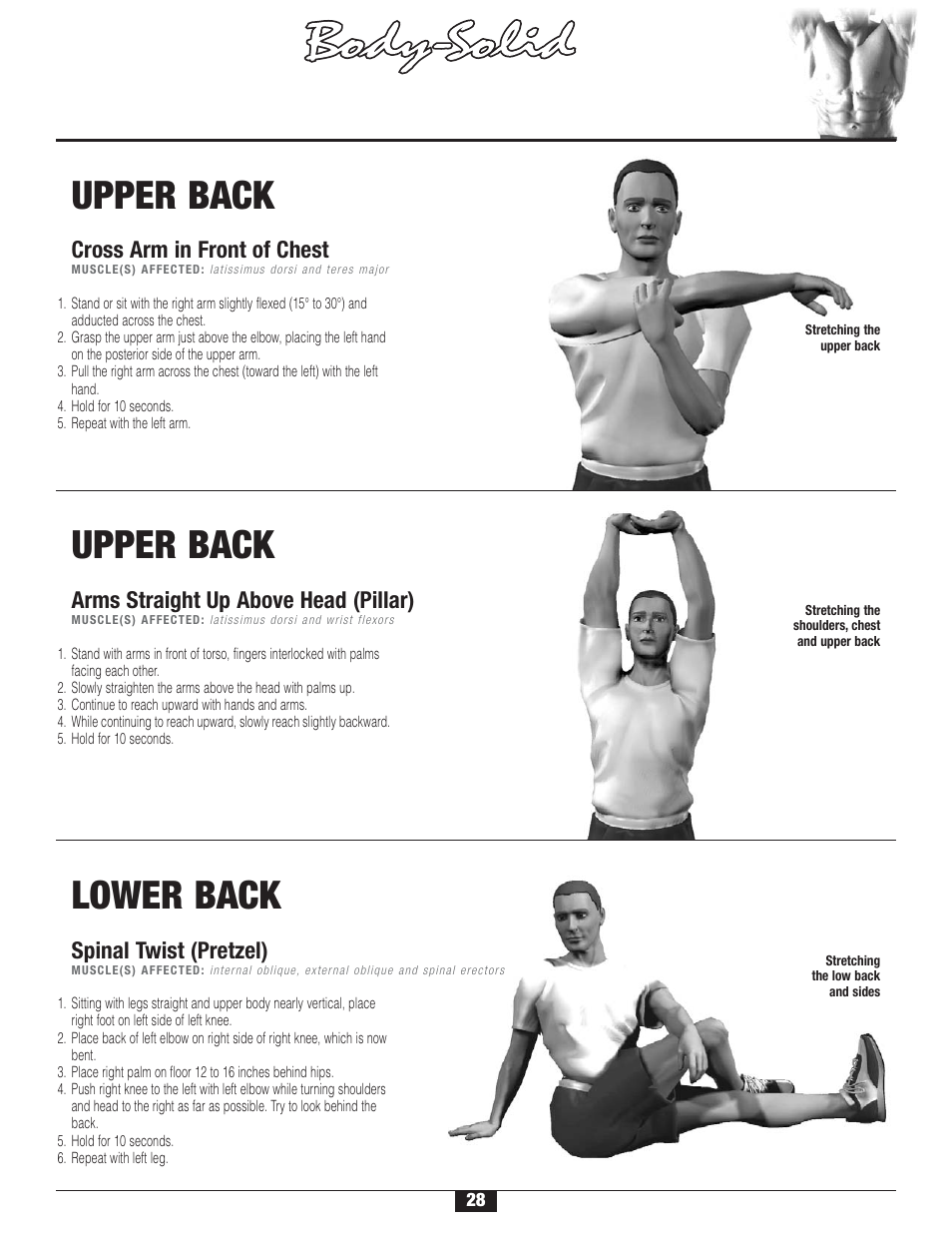 S t r etching, Warm-up/cool-down, Upper back | Lower back | Body Solid FID 46 User Manual | Page 29 / 46