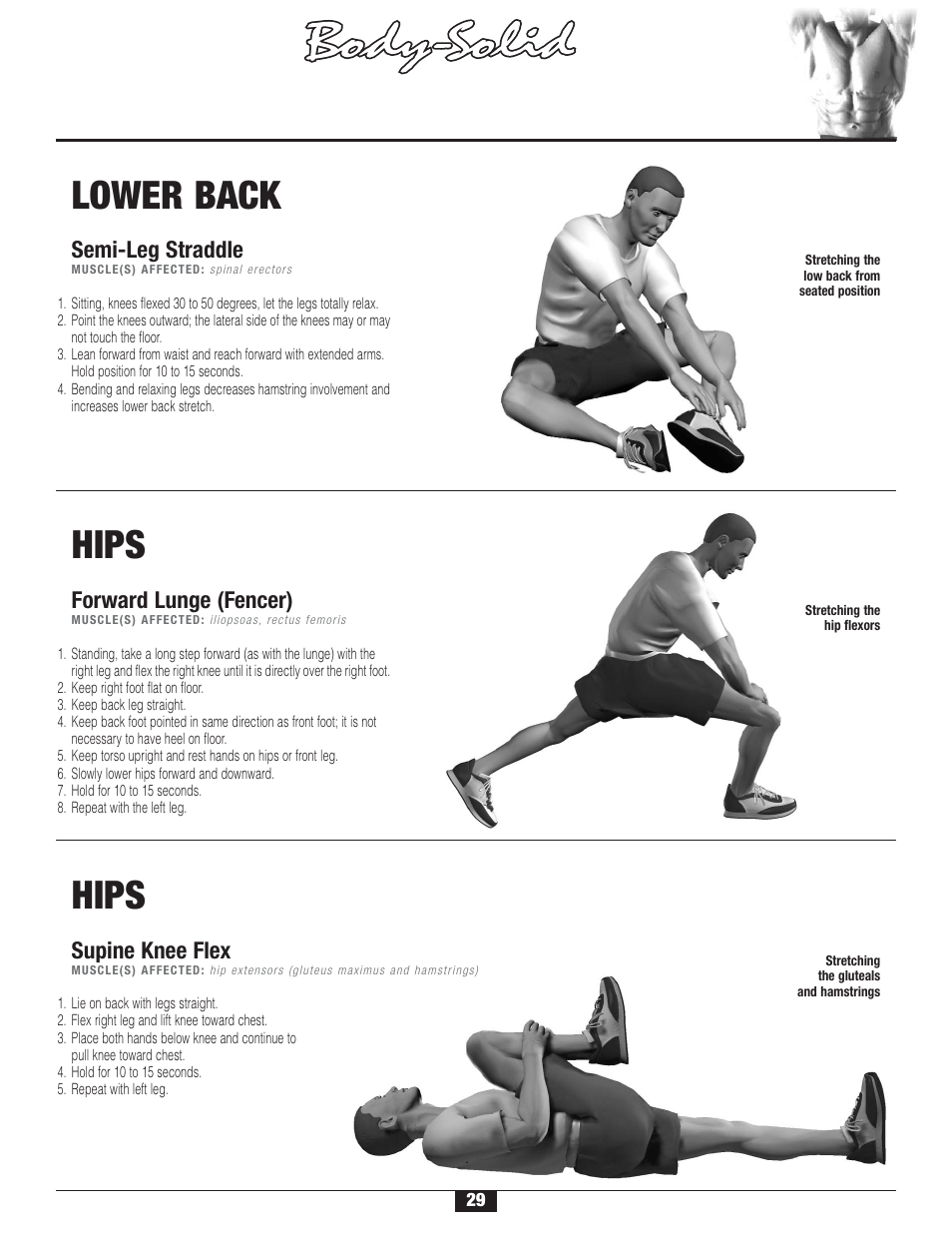 S t r etching, Warm-up/cool-down, Lower back | Hips | Body Solid FID 46 User Manual | Page 30 / 46