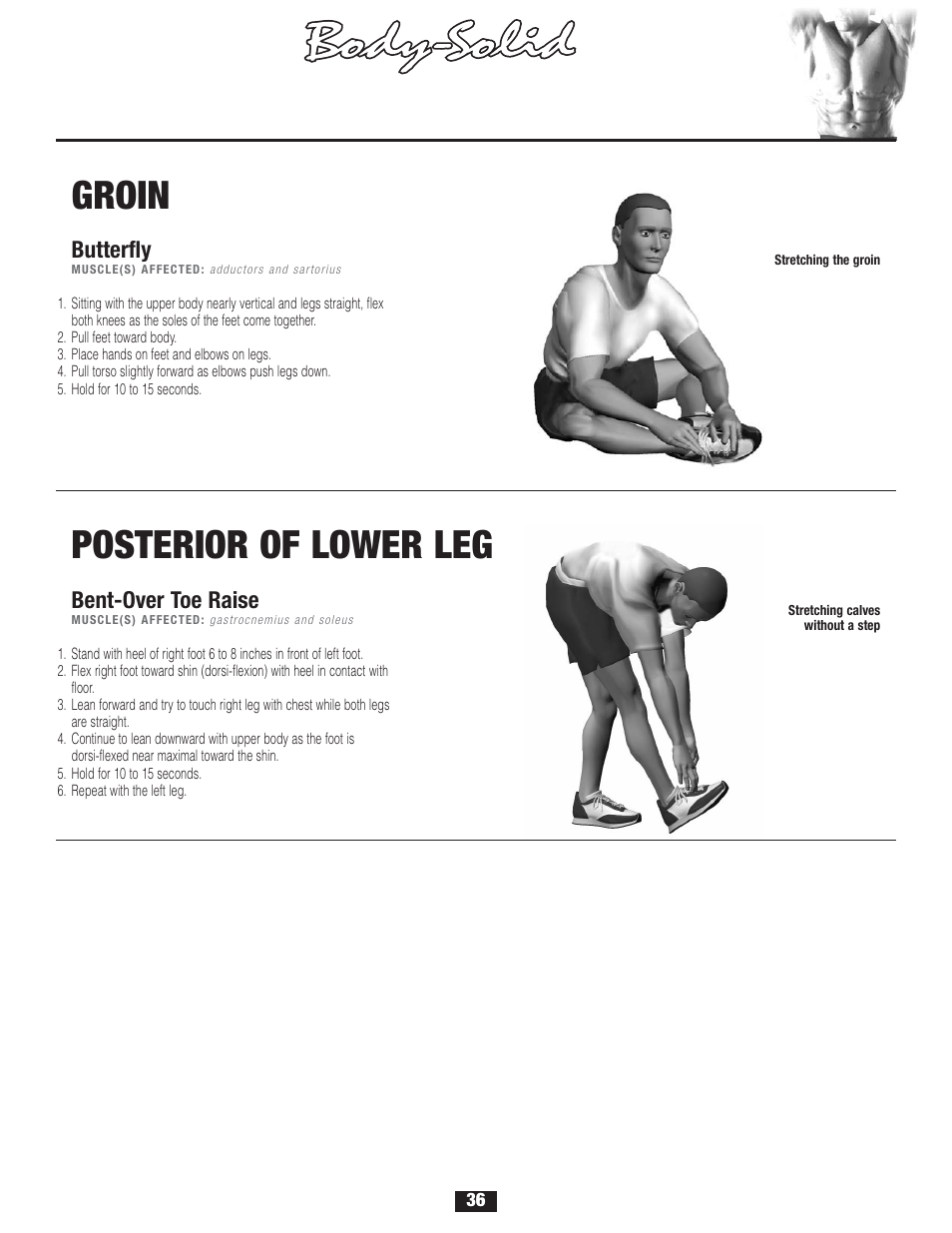 S t r etching, Warm-up/cool-down | Body Solid FID 46 User Manual | Page 37 / 46