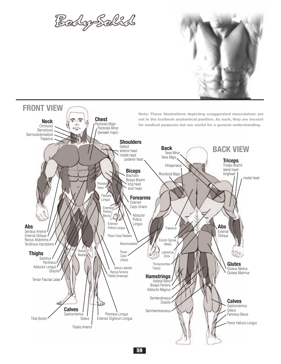 Chart, Anatomy, Front view | Back view | Body Solid G6B User Manual | Page 59 / 90