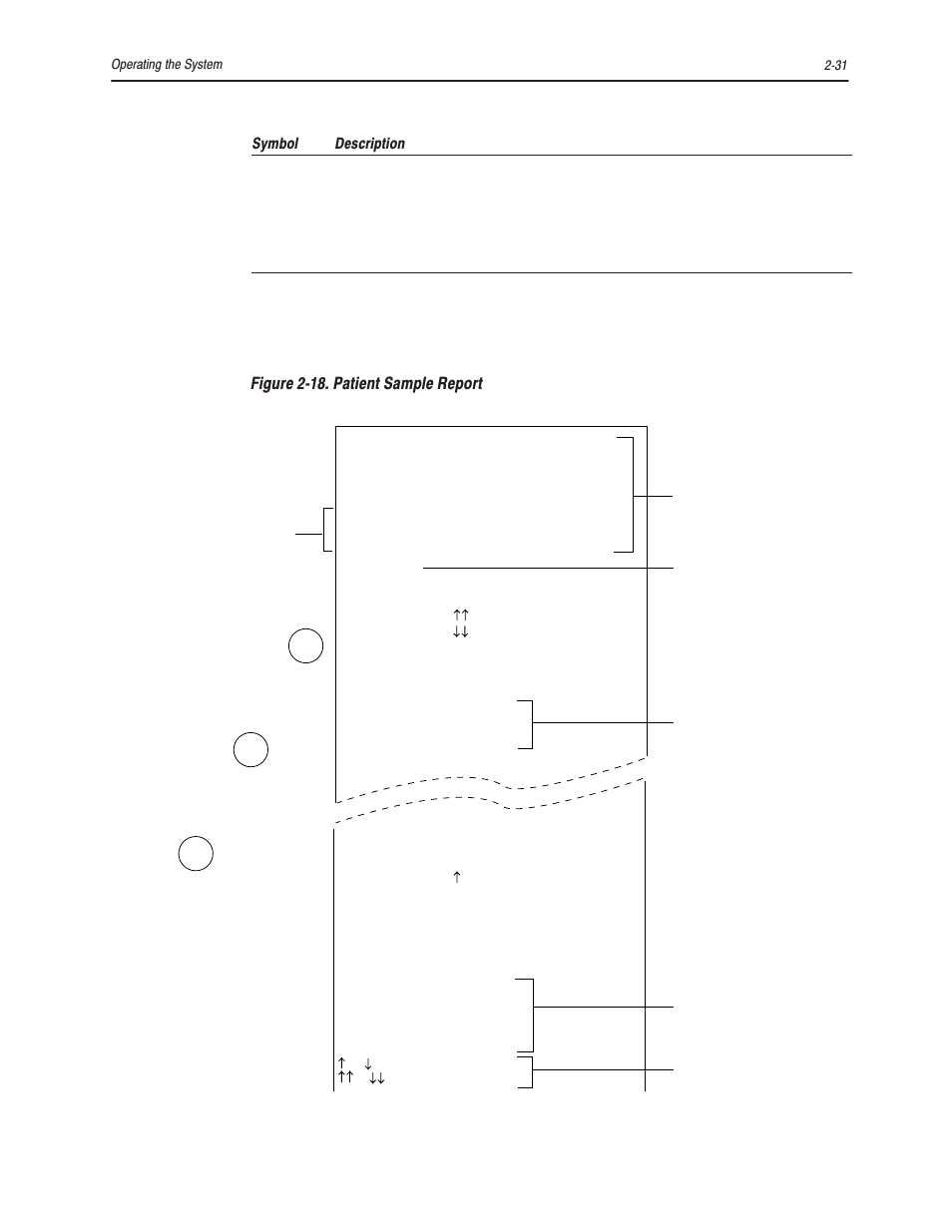 Symbol description, 2ć31 operating the system, Sample type | Report symbols | Bayer HealthCare Rapidlab 800 User Manual | Page 129 / 699