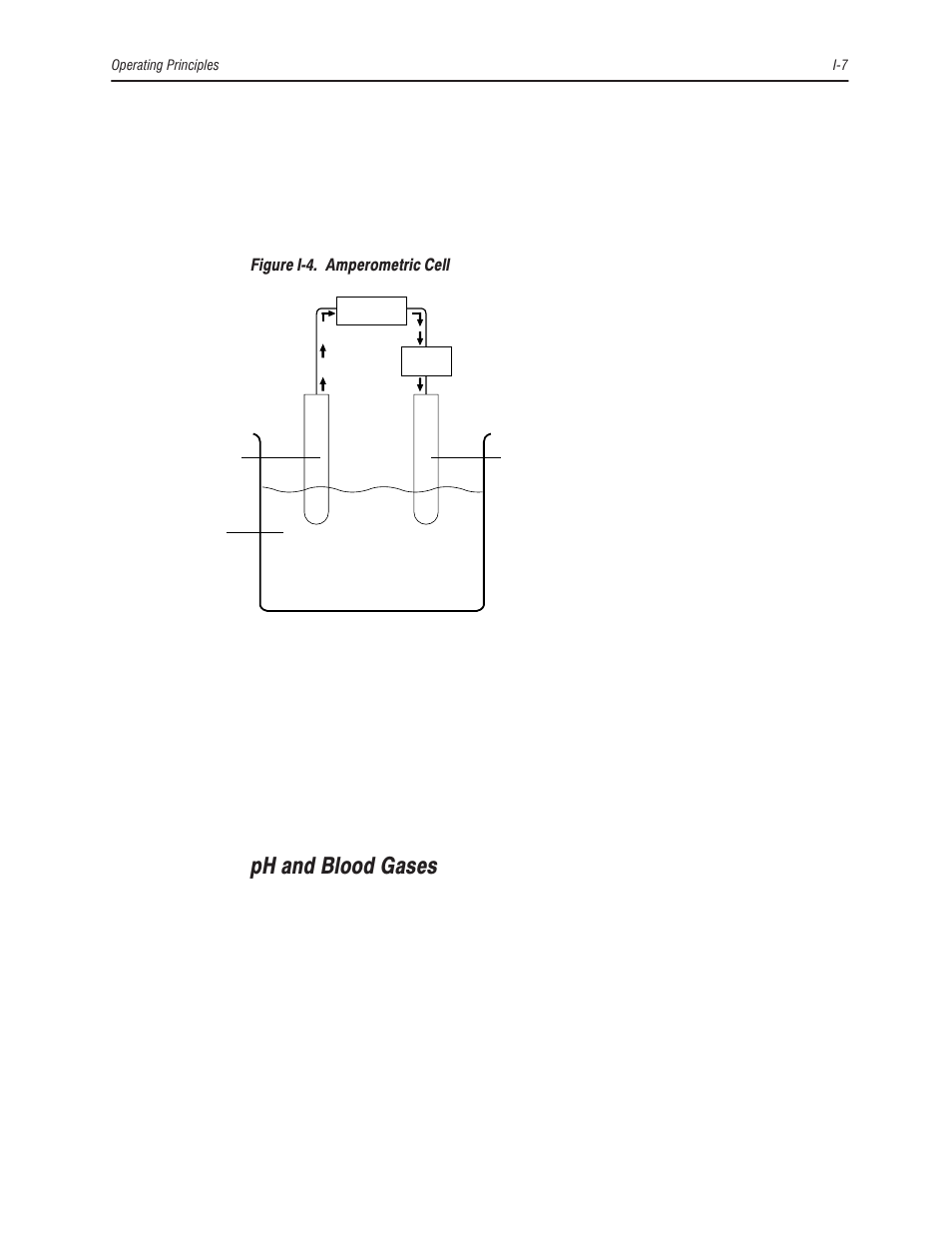 Ph and blood gases | Bayer HealthCare Rapidlab 800 User Manual | Page 627 / 699