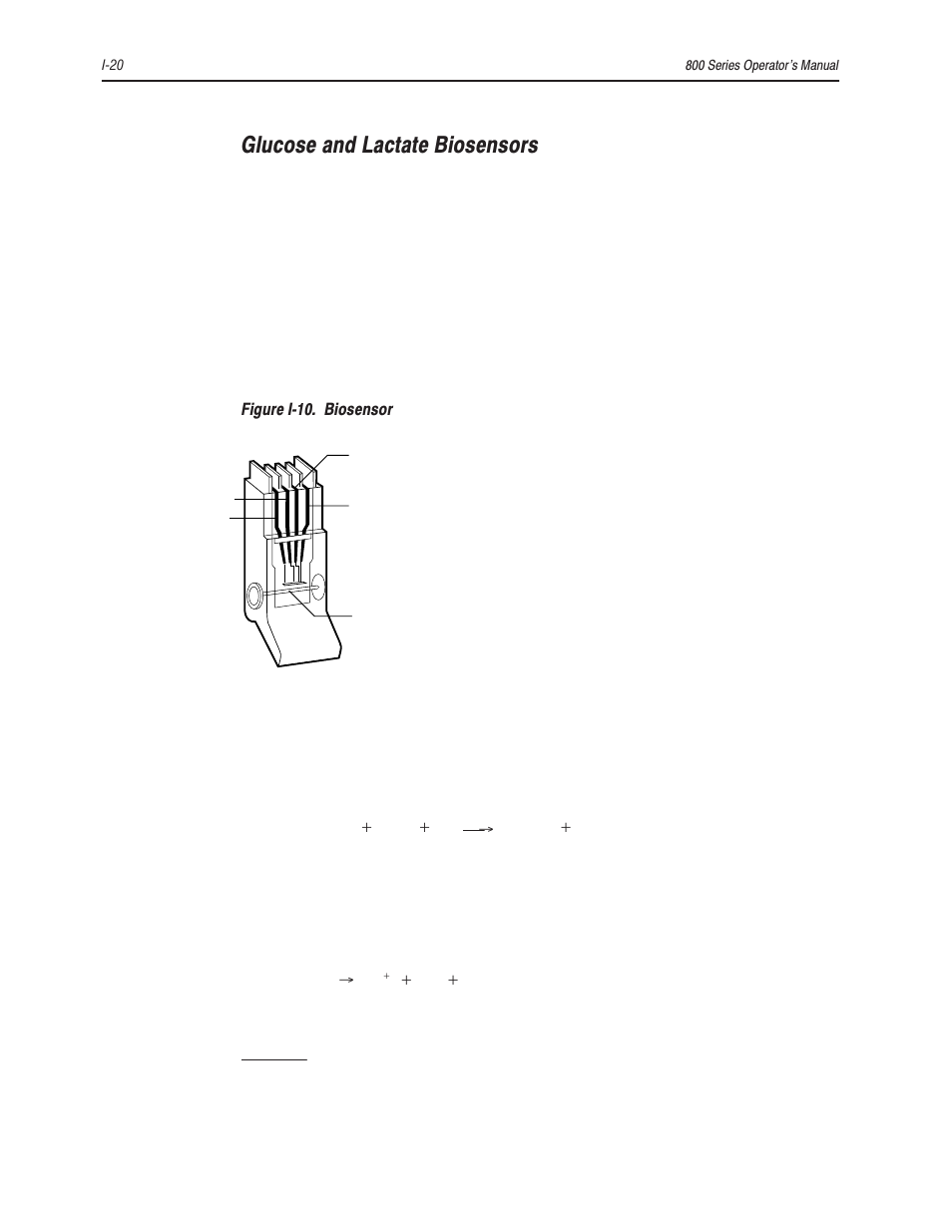 Glucose and lactate biosensors | Bayer HealthCare Rapidlab 800 User Manual | Page 640 / 699